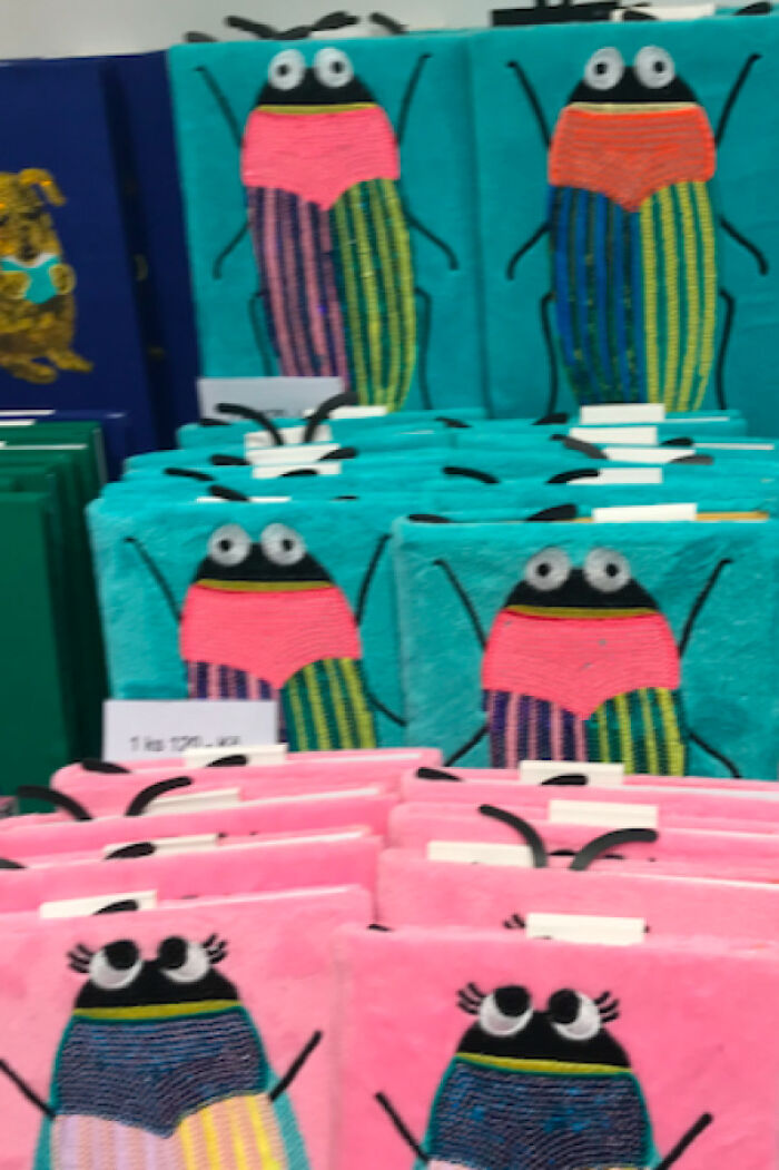 Colorful insect-themed pouches in pink and teal highlighting gendered nonsense through design and colors on display.
