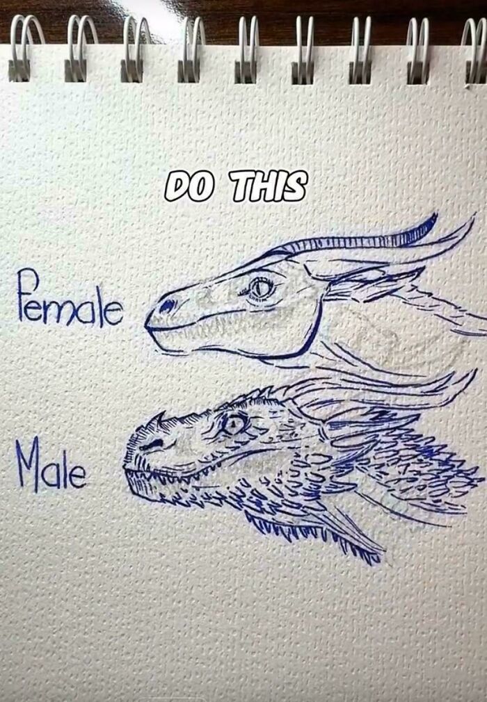 Hand-drawn male and female dragon heads on a sketchpad illustrating examples of gendered nonsense in art.