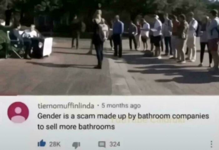 Comment stating gender is a scam by bathroom companies, illustrating examples of gendered nonsense in public setting.
