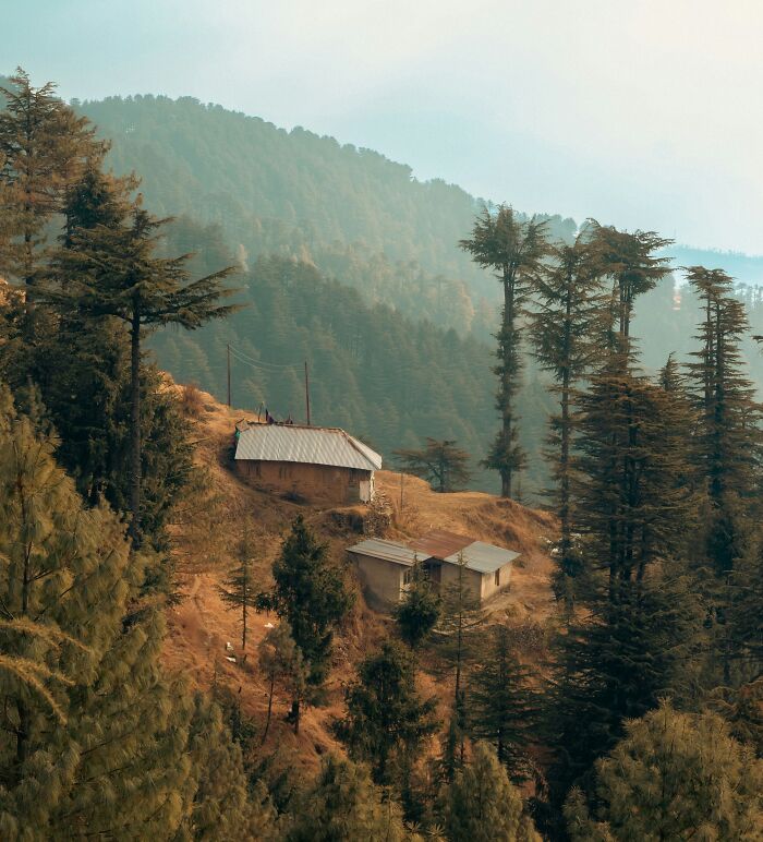 Kufri: The Quieter Side Of Himachal That Stole My Heart