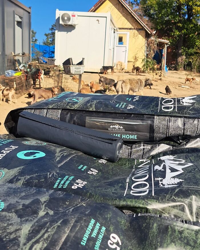 Bags of dog food in the foreground with numerous abandoned and rescued dogs roaming at Serbia&rsquo;s largest animal shelter.