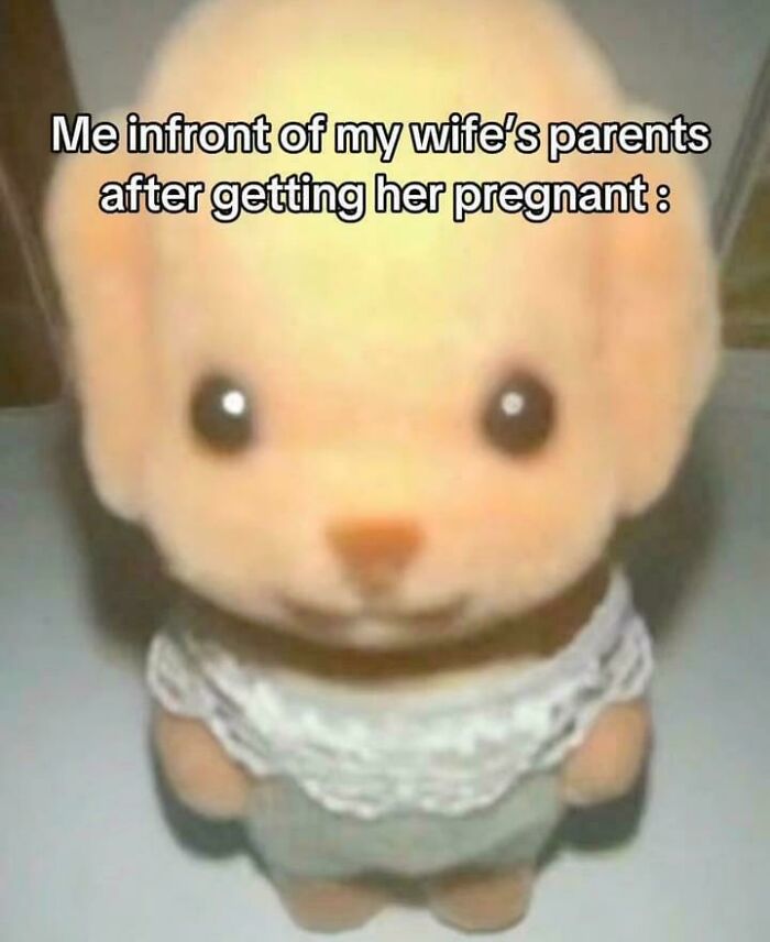 Funny screenshot of a plush toy with a nervous expression captioned about meeting wife's parents after pregnancy news.