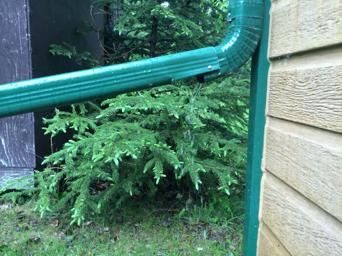 Green gutter drainpipe installation bending awkwardly outside a wooden house near a tree, showing a DIY fail.