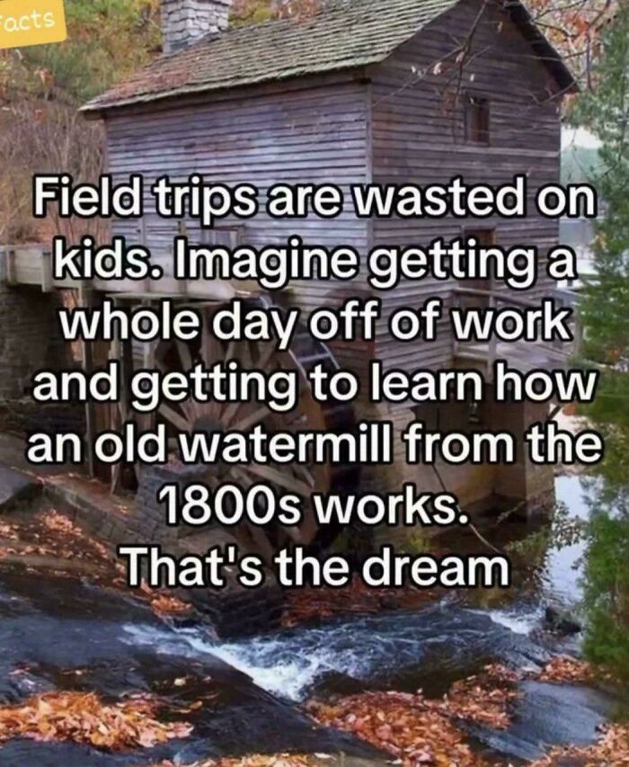 Funny screenshot with a nostalgic caption about enjoying a day off work to learn how an 1800s watermill works.