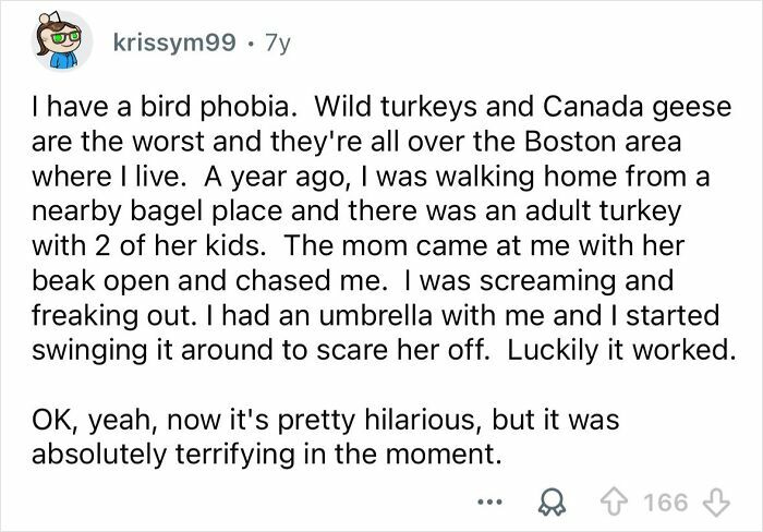 Text post describing an embarrassing situation with wild turkeys that only became funny way later.
