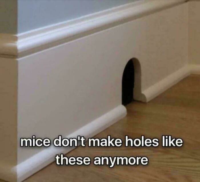 Small mouse hole in a wall baseboard with text humor about how mice don’t make holes like these anymore.