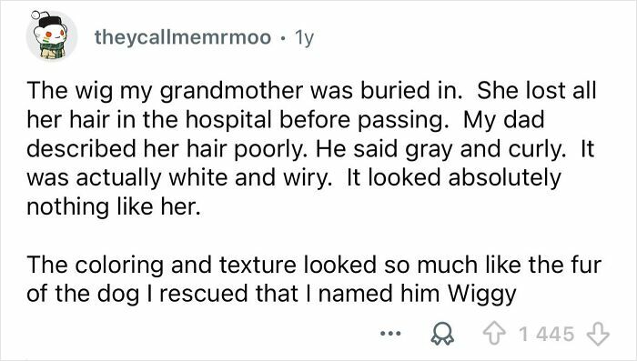 Text post about a grandmother’s wig resembling a rescued dog’s fur, showing embarrassing situations later funny.
