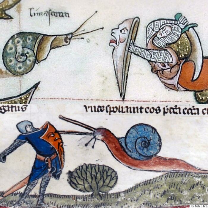 Medieval illustration depicting knights fighting giant snails, an example of old paintings that are hilariously bad yet brilliant.