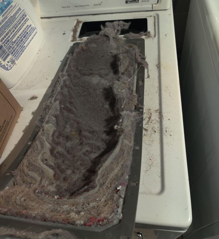 Extremely dirty dryer lint trap covered in thick dust and debris, showing poor roommate cleaning habits.