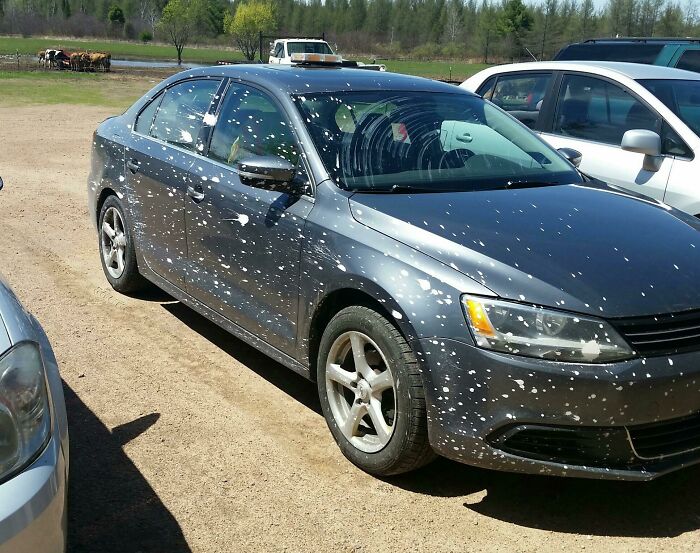 Gray sedan covered in white paint splatters parked on a dirt lot, showcasing one of the dumb drivers' unbelievable car mishaps.