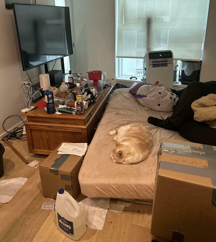 Cluttered messy room with empty bottles, boxes, and a cat on a dirty mattress, showing jerks that made roommates consider living alone.