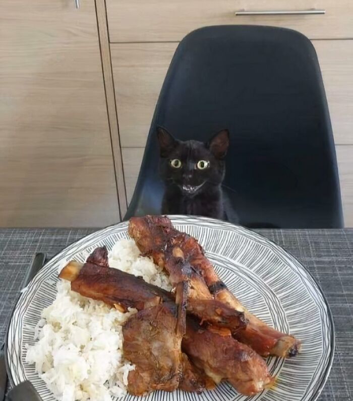 Black cat making a silly face sitting behind a plate of rice and grilled meat, a funny animal moment captured in a photo.