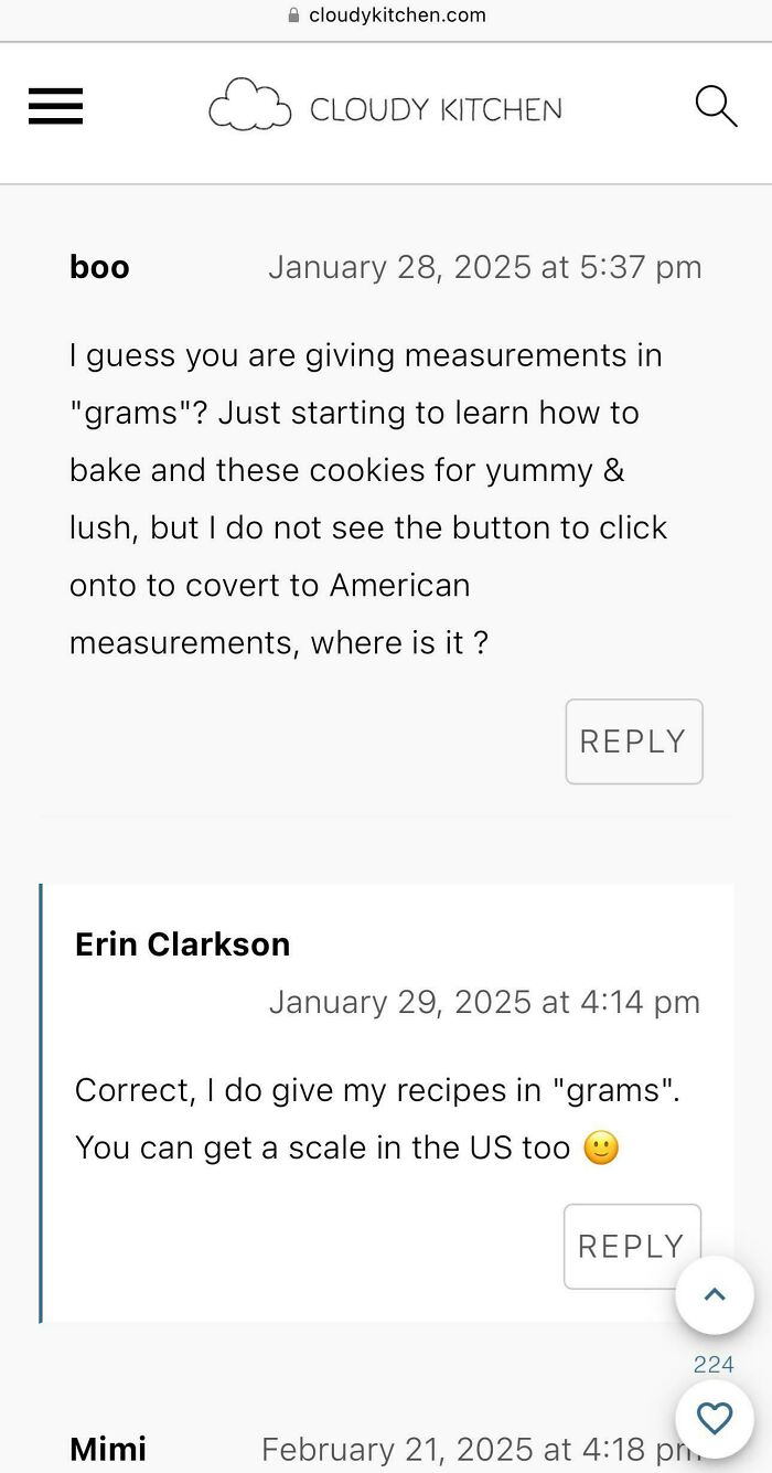 Comments on a recipe blog discussing measurement conversions and challenges with following the recipe accurately.