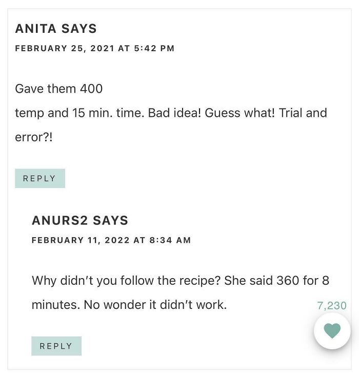 Comments discussing failed attempts at following a recipe, highlighting cooking time and temperature errors.