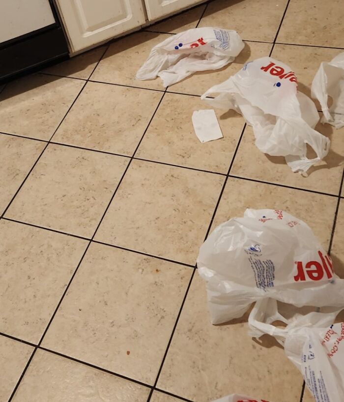 Plastic grocery bags scattered messily on kitchen floor, illustrating infuriating examples of men being men.