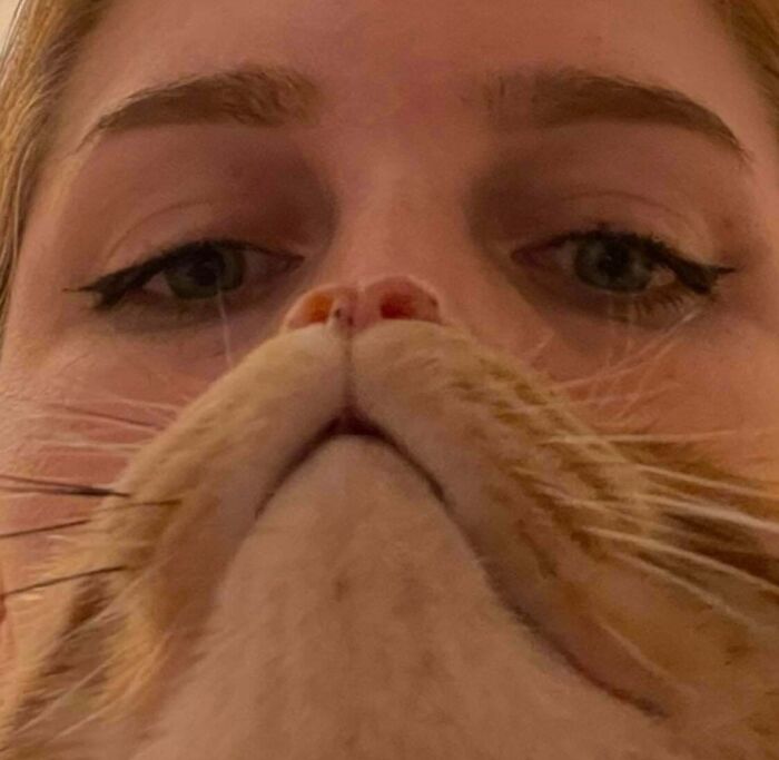 Close-up of an orange cat’s face with a person’s eyes visible behind, highlighting funny orange cats behavior.