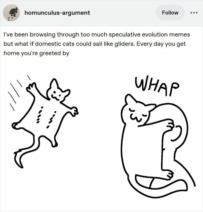 Funny screenshot of a speculative evolution meme showing cats gliding like flying squirrels with a playful slap gesture.
