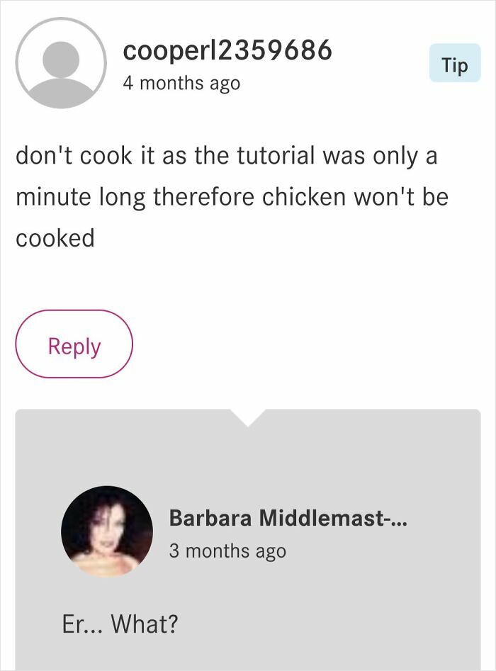 User comment about a cooking tutorial timing issue and a confused reply, illustrating failed recipe attempts and unhinged reviews.