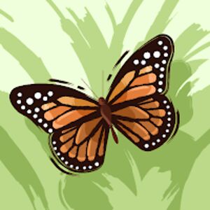 shivaniyadav_1 avatar