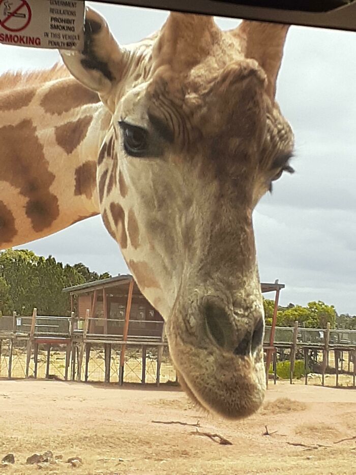 46 Obscure And Weird Medical Facts