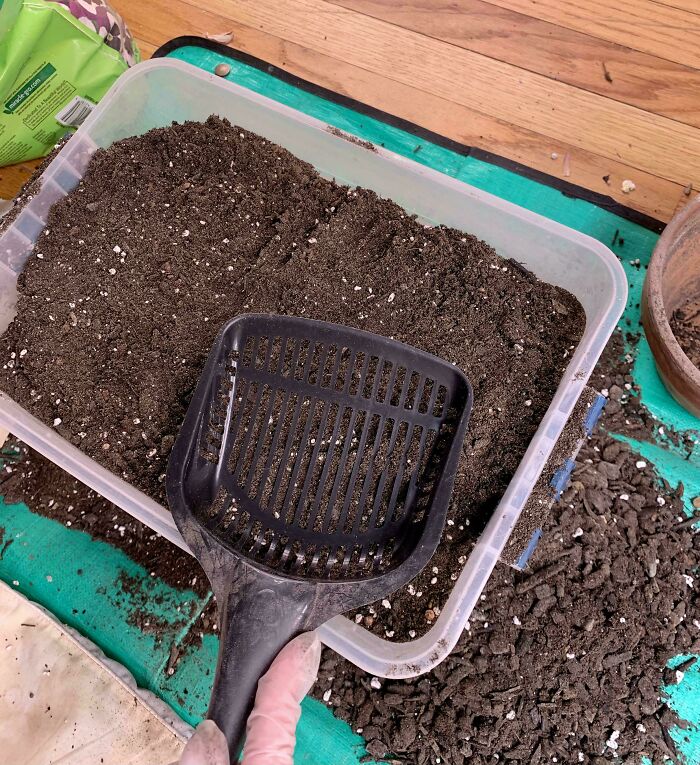 Container filled with soil being sifted using a plastic scoop, demonstrating a simple if it's stupid but it works method.