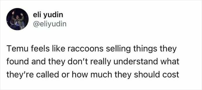 Funny meme text about raccoons selling unknown items, illustrating absurd humor in memes that make no sense but work.