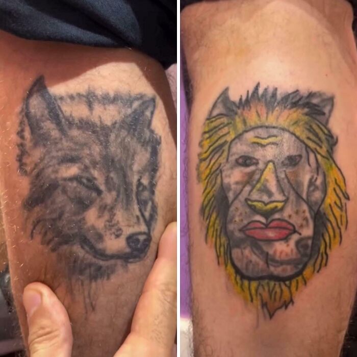 Two badly done animal tattoos on legs, one of a wolf and the other of a lion, showing examples of bad tattoos.