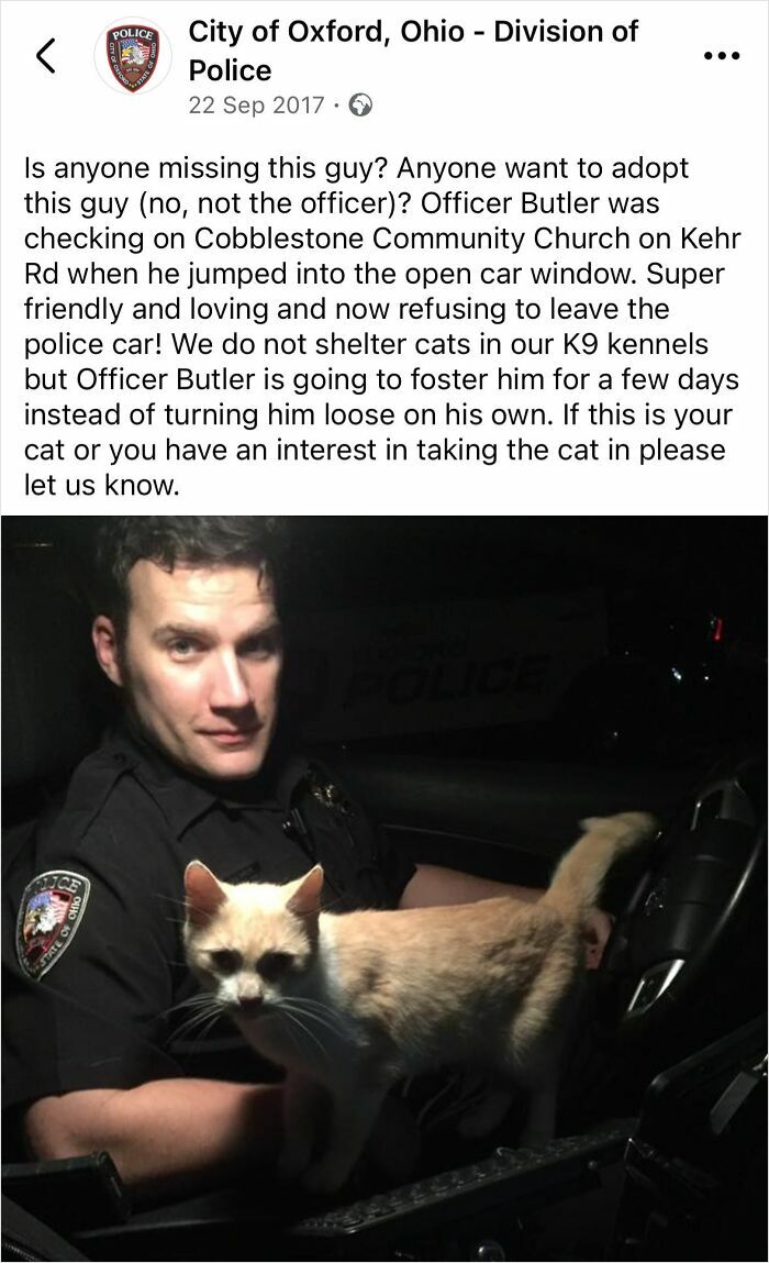 Police social media post showing officer in car with a friendly cat, highlighting hilarious unserious police social media accounts.