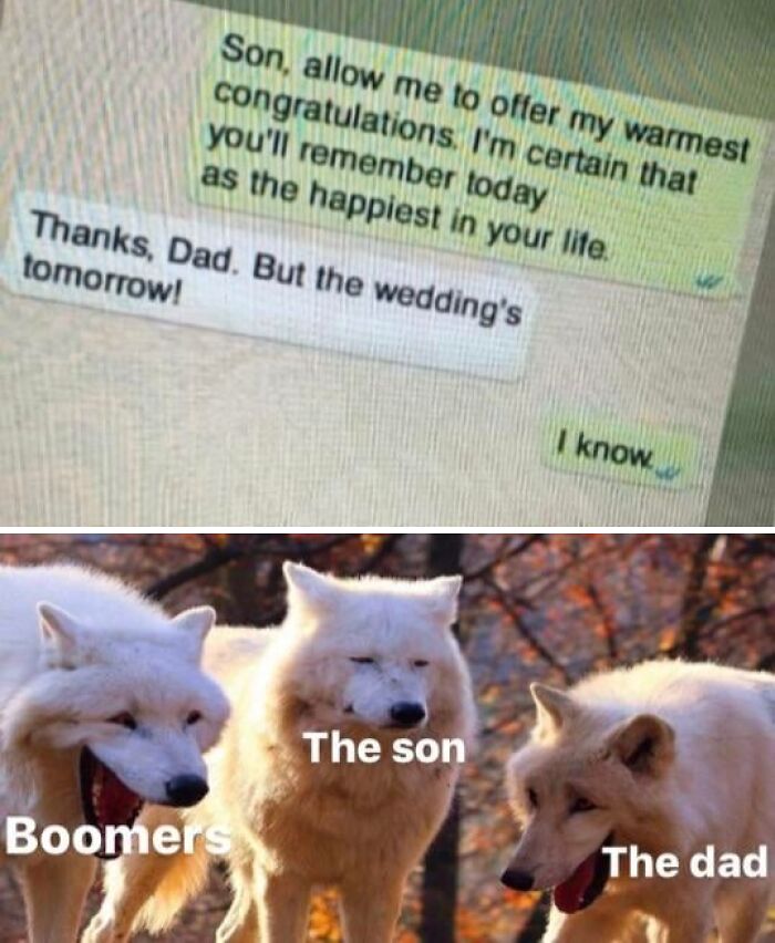 Text message meme about wedding day humor paired with labeled wolf pack meme illustrating boomers, the son, and the dad.