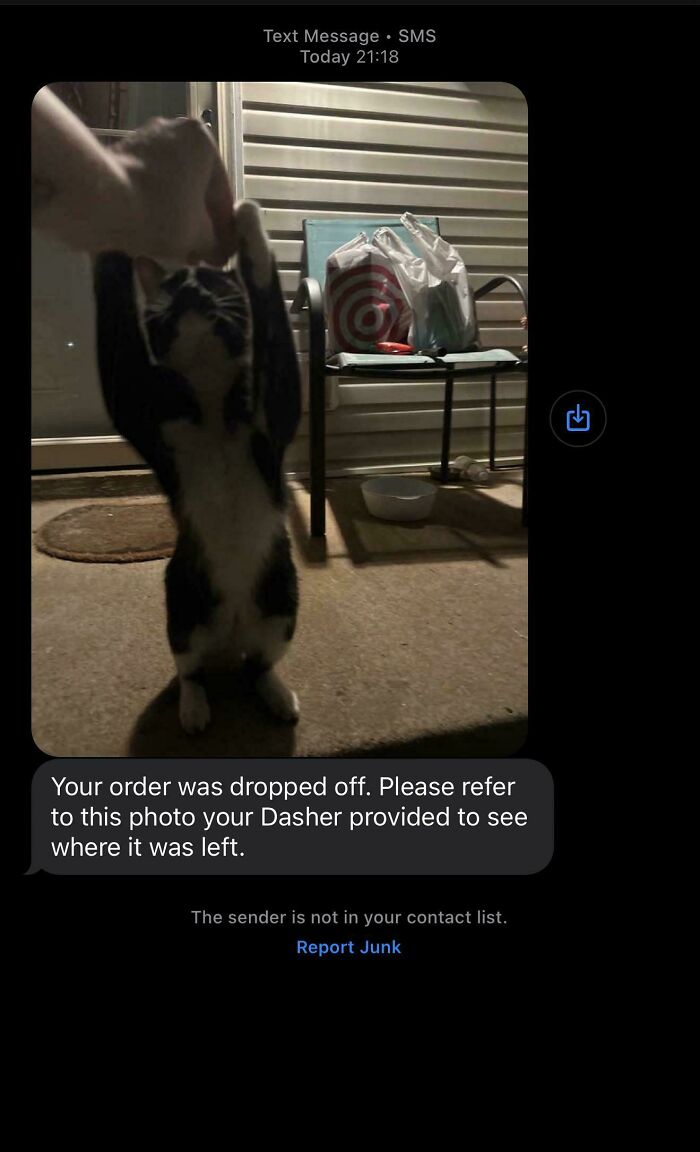 Text message showing a humorous delivery confirmation with a cat held upright on a porch, featuring funny Uber driver texts.