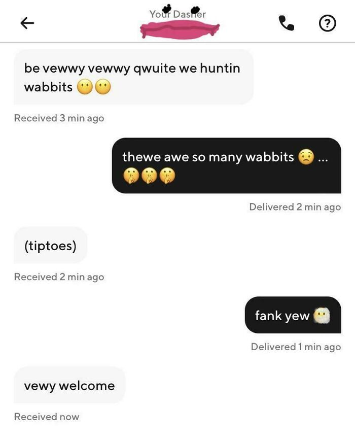 Screenshot of a funny and unhinged text conversation between an Uber driver and passenger using playful language and emojis.
