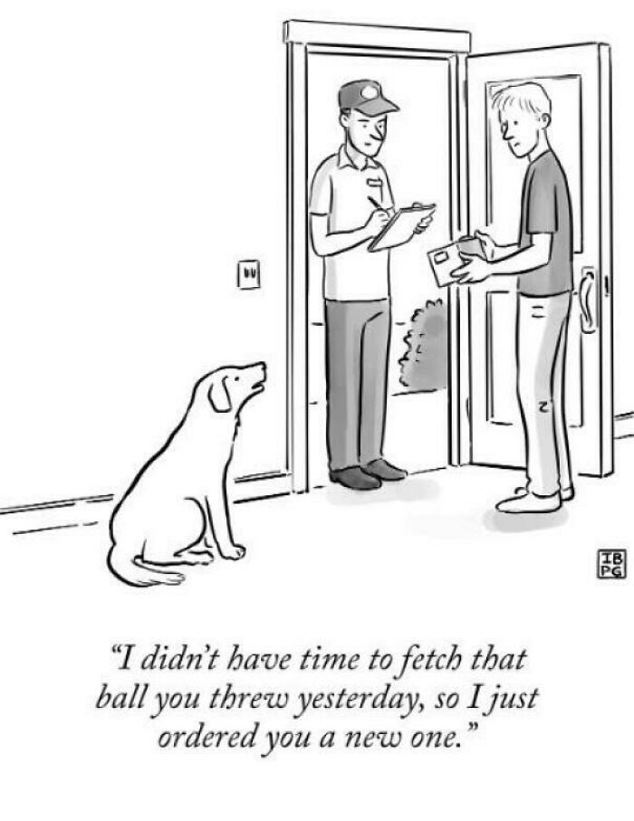 Courier delivering a package as a man explains ordering a new ball instead of fetching the old one, highlighting consumerism.