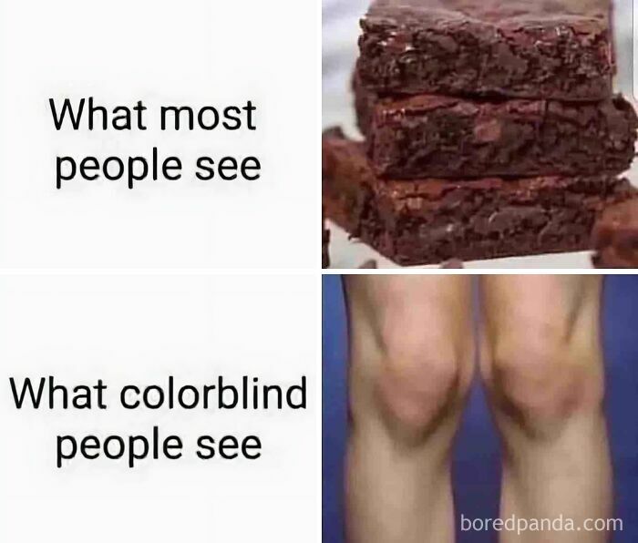 Comparison meme showing what most people see as brownies and what colorblind people see as knees, a meme explanation.