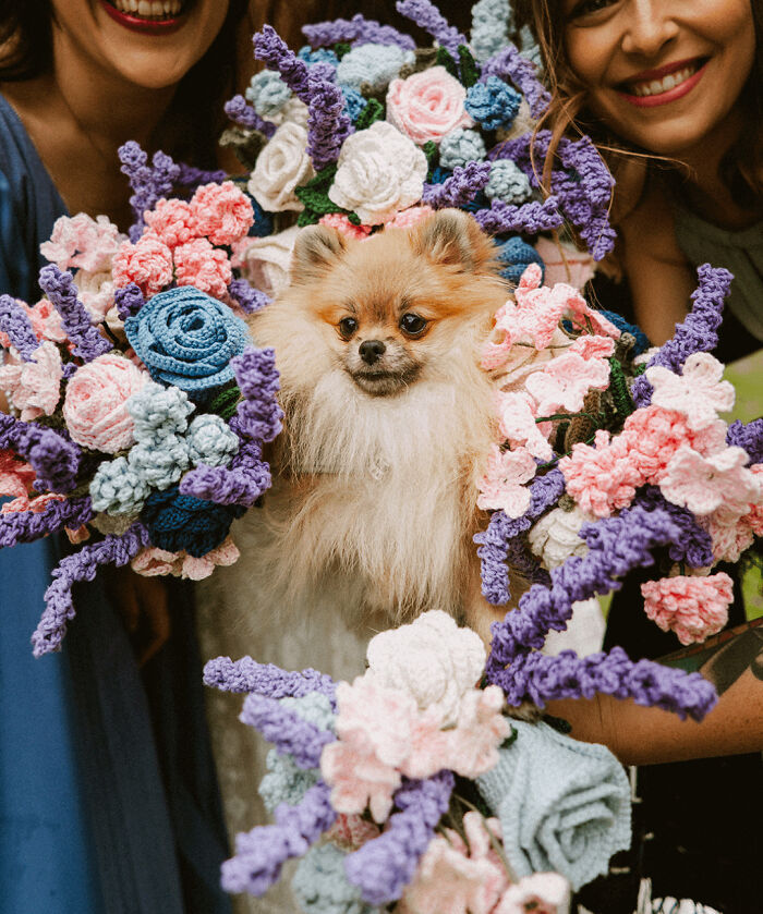 A fluffy Pomeranian surrounded by colorful crocheted flowers, held by two smiling women. People crocheted something awesome here.