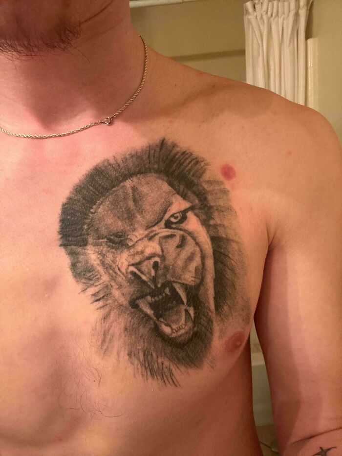 Chest tattoo of a poorly drawn roaring lion showcasing bad tattoos that prove thinking first is optional.