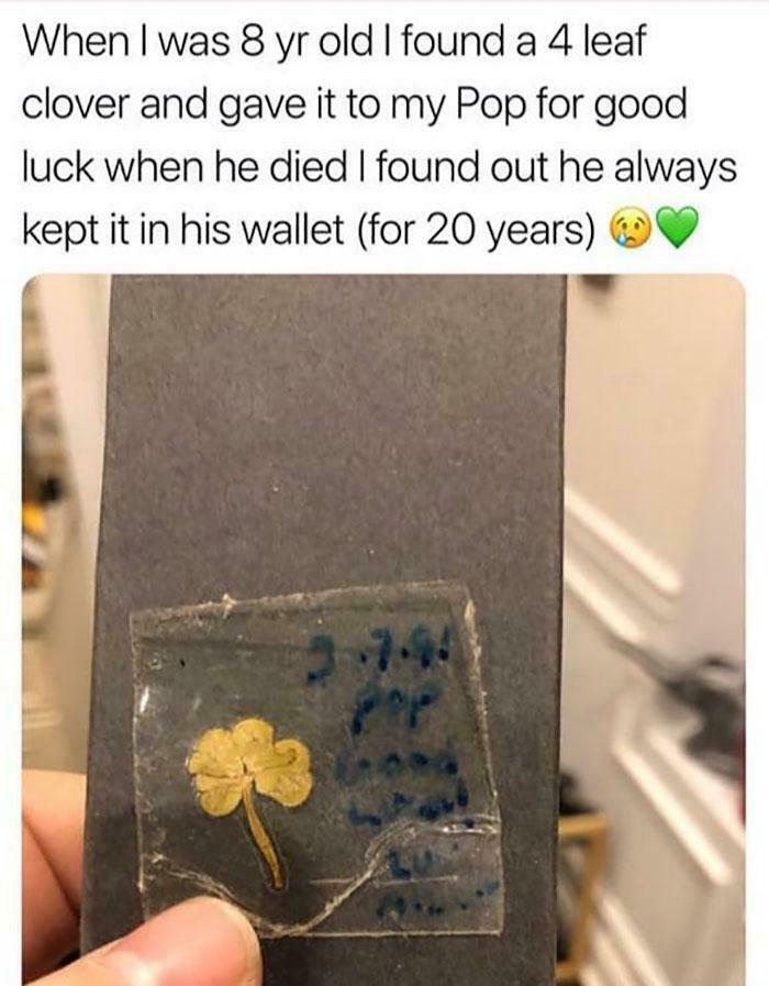 An amazing photo of a faded four-leaf clover kept in a wallet, representing a touching memory.