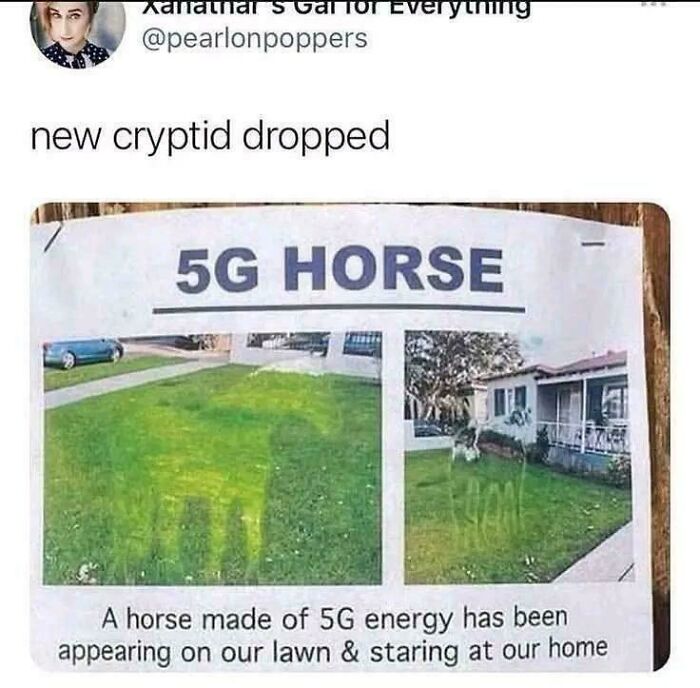 5G Cell Tower Horse