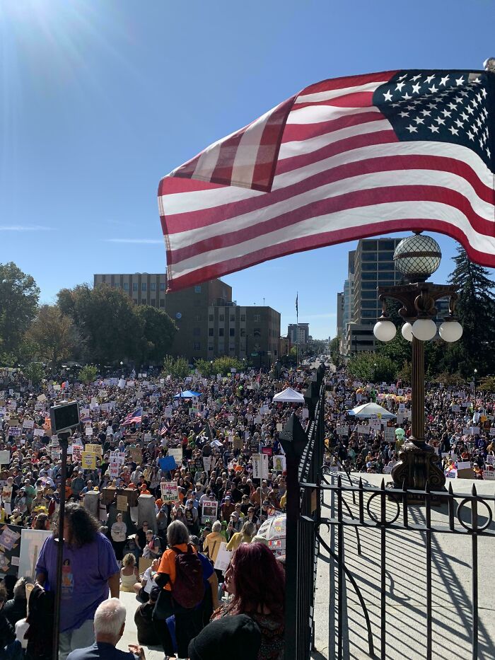 A chaotic good protest scene with a large crowd and an American flag, inspiring real life heroes.