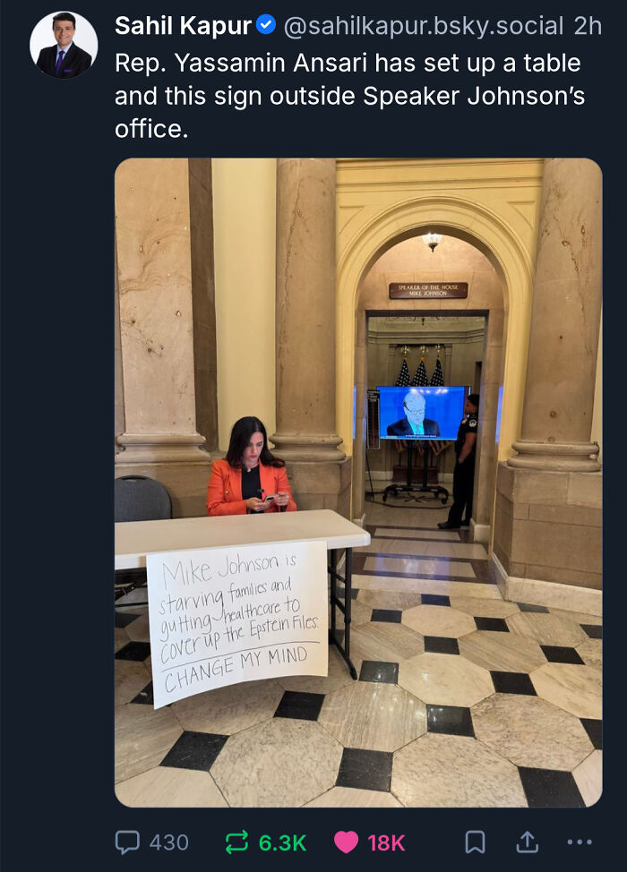 Chaotic Good Posts: Rep. Yassamin Ansari protesting outside Speaker Johnson's office, being a hero for families.