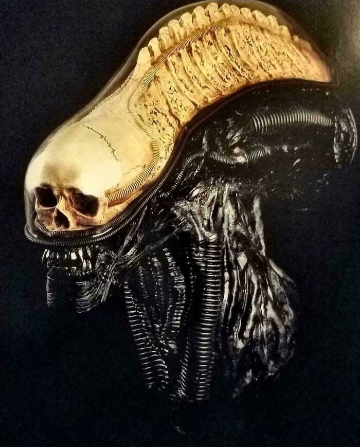 Creepy image of an alien's head, revealing a human skull and spine inside a clear dome. View at your own risk.