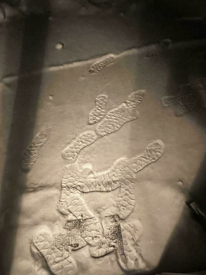 Creepy images of mysterious prints on a dusty, textured surface, possibly from hair of kids I babysit.