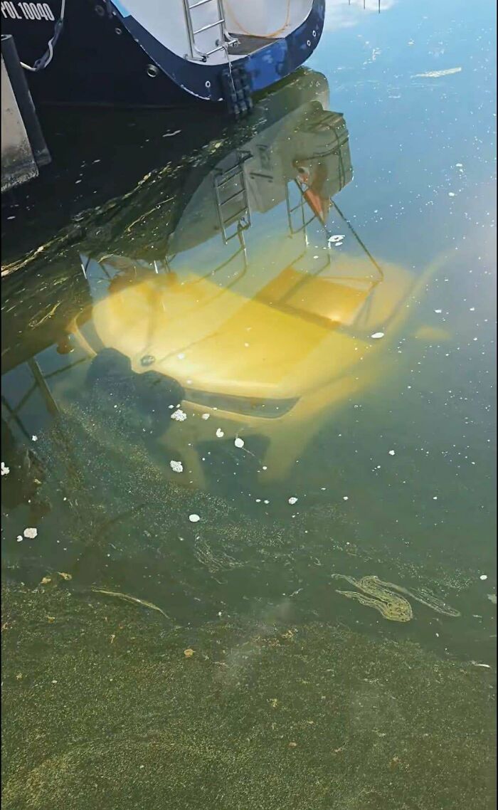 An expensive accident: a yellow car submerged in murky green water next to a boat, a clear fail that looked expensive.