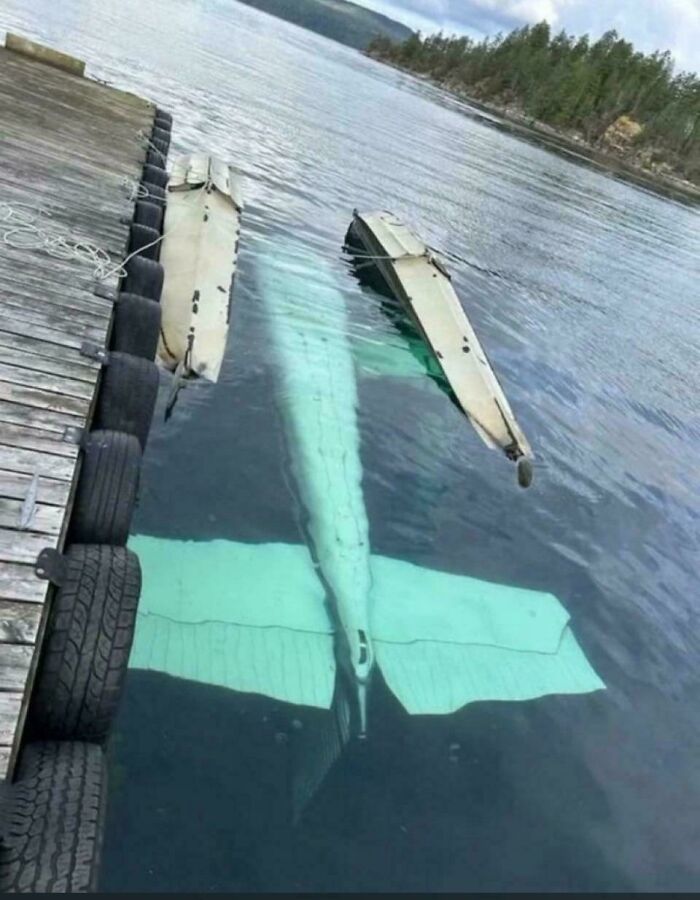 A sunken plane underwater next to a dock, only its tail and wings visible. A clear example of expensive fails and accidents.
