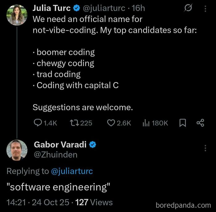Tweet exchange about naming styles for not-vibe coding with humorous programming memes highlighting debugging struggles.