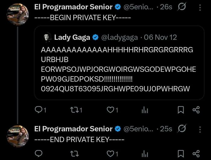 Tweet showing a humorous private key with jumbled characters illustrating the frustrating struggle of debugging in programming.