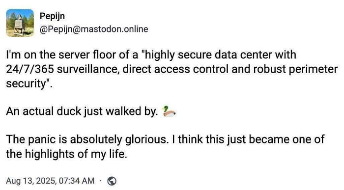 Programming meme showing a humorous story about a duck disrupting a highly secure server floor environment.