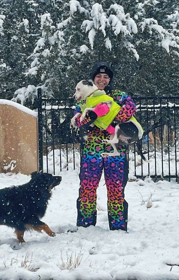 Person in colorful outfit holding a small dog in a snowy yard, with another dog approaching, showcasing hilarious goofy dogs.