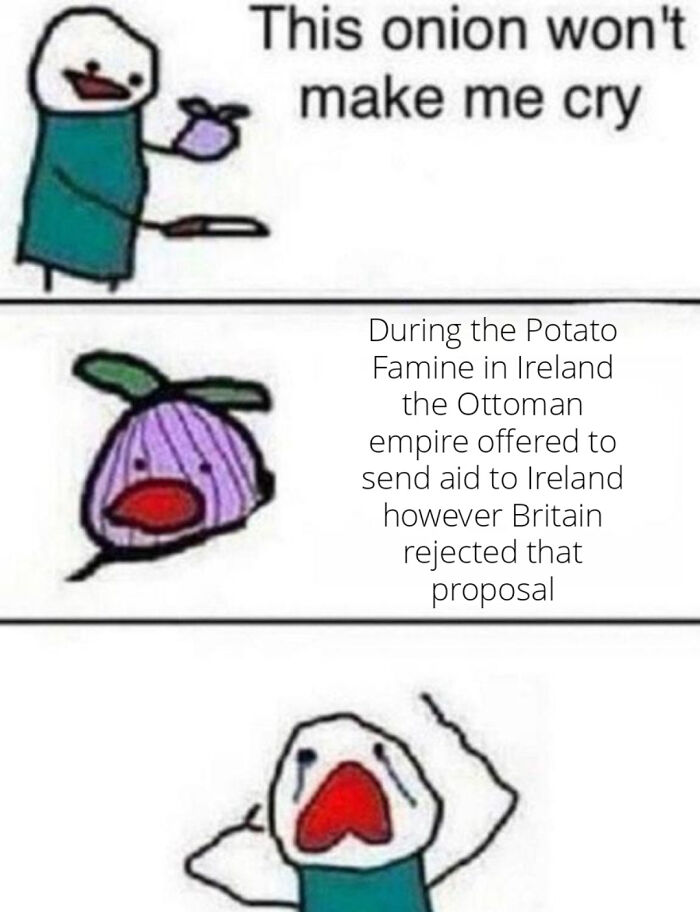 A history meme showing a person crying after learning Britain rejected Ottoman aid during the Irish Potato Famine.