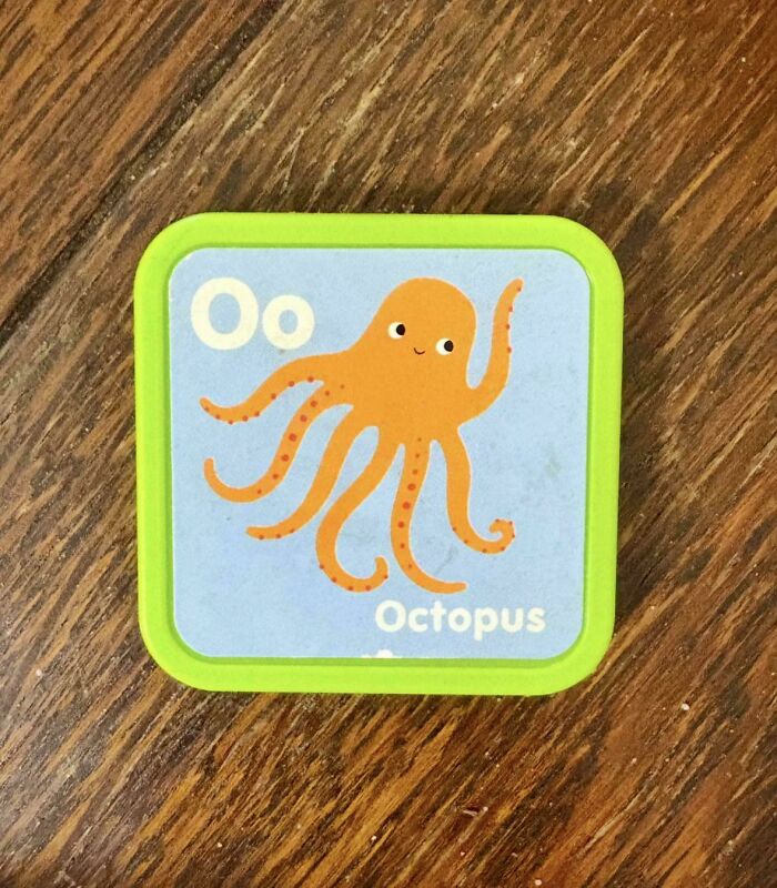 Toy block showing the letter Oo with a cartoon octopus on a wooden surface, illustrating common sense fails.
