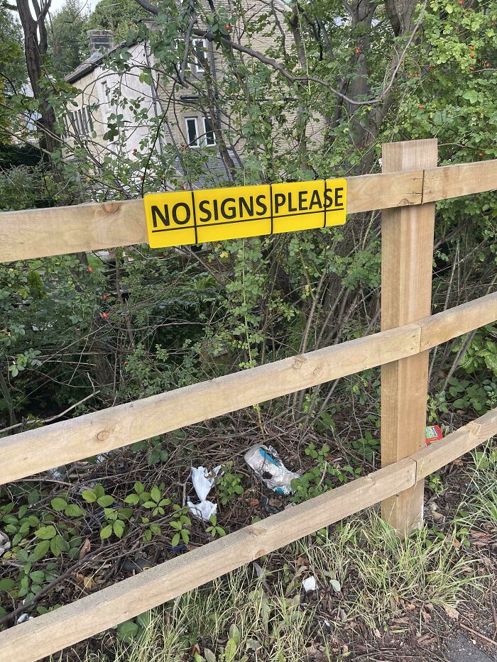 Yellow sign reading no signs please attached to wooden fence along overgrown area with litter below, bizarre signs humor.